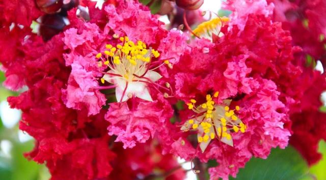 cfleach1's tweet card. We then, as workers together with Him also plead with you not to receive the grace of God in vain.