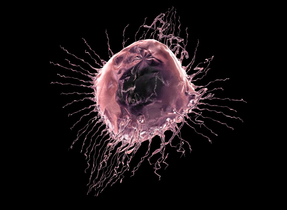 AcademicsHcg's tweet card. Researchers at the Imperial College, London and the Institute of Cancer Research, London have found variable voltages in the membranes of breast cancer cells, which can help comprehend how they grow...