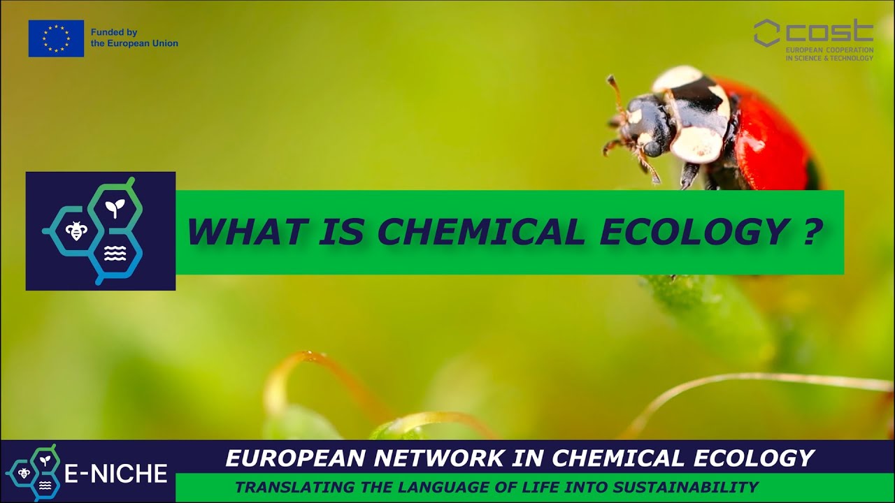 LabSchulz's tweet card. What is Chemical Ecology (and why you should care)