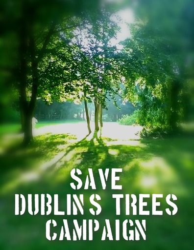 akoreilly22's tweet card. It looks as if all routes leading to City Centre will suffer a great loss in trees/wildlife.. And Shane Ross, Minister for Transport and the National Transport Authority have been extremely vague...