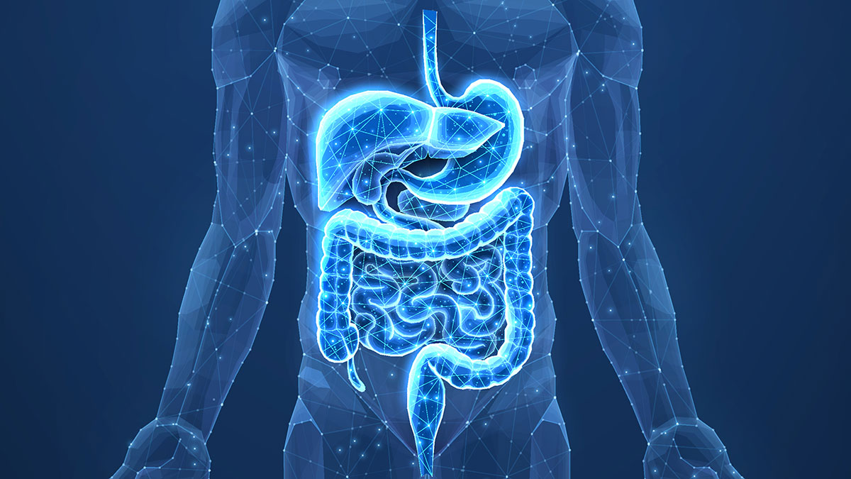 rathfoundation's tweet card. Researchers from Vanderbilt University Medical Center have demonstrated in a precision-based clinical trial that a magnesium supplement increases gut bacteria in humans that have been shown to...