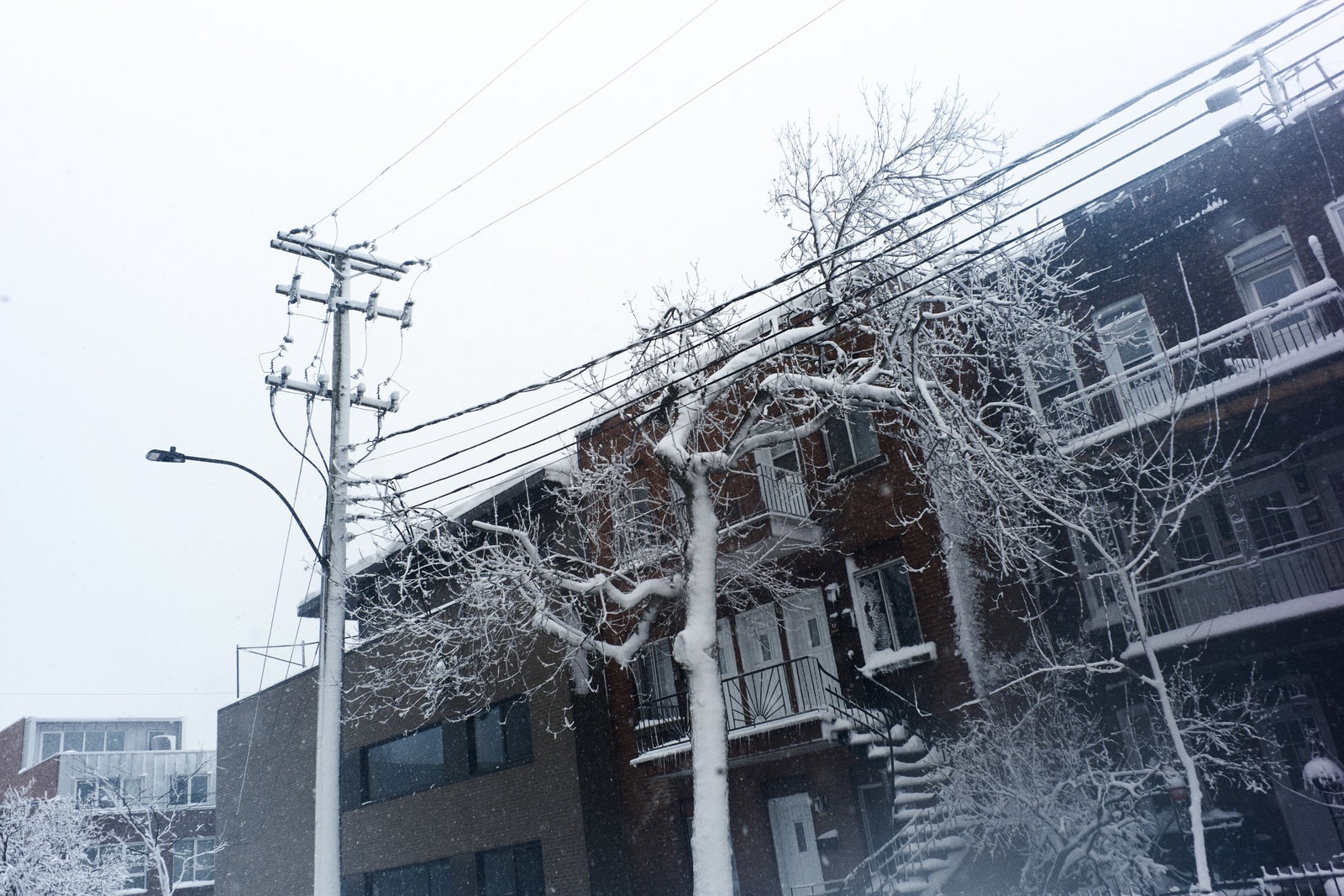 SinopeTech's tweet card. Dans les nuits de lundi à mardi et de mardi à mercredi, le mercure devrait descendre jusqu’à –25 °C.