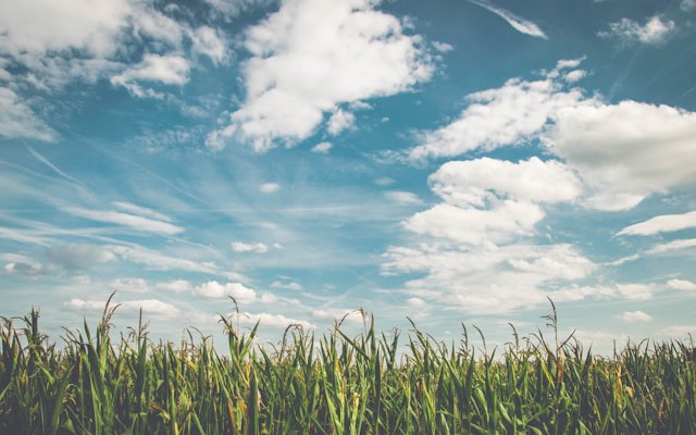 iotguide's tweet card. Real-time object detection at the edge with YOLOv5 and AWS IoT Greengrass enables fast, offline, scalable processing in bandwidth-limited, remote environments.