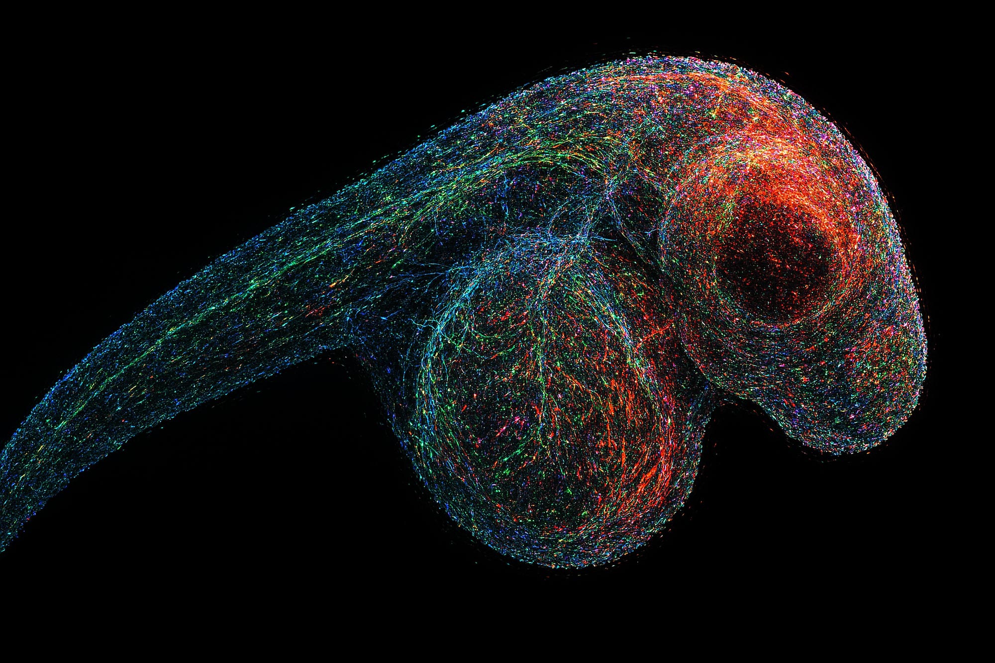 _Georgeobeid's tweet card. What if you could take a picture of every gene inside a living organism—not with light, but with DNA itself? Scientists at the University of Chicago have pioneered a revolutionary imaging technique...