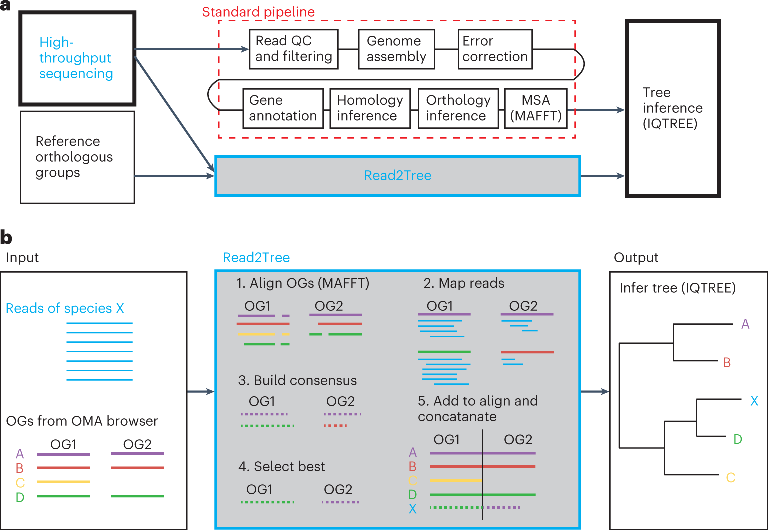 ViromeHunter's tweet card. Nature Biotechnology - Phylogenetic trees are generated from sequencing reads without genome assembly or annotation.