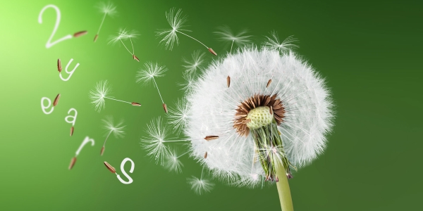 tes's tweet card. Teacher training courses are so short that trainees only have enough time to learn how to survive in the profession - and no more, says Professor Geraint Jones