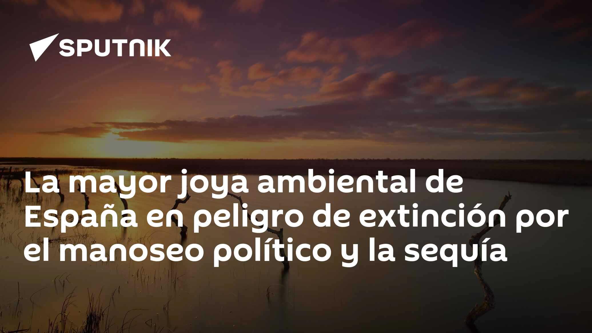 ebdonana's tweet card. La Junta de Andalucía propone legalizar 1.600 hectáreas de cultivos ilegales que amenazan a Doñana. La mayor reserva ecológica de Europa, está maltrecha por la sequía y la sobreexplotación del...
