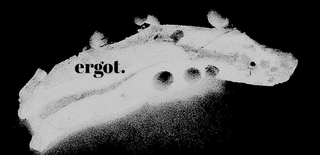 ErgotPress's tweet card. innovative + experimental horror