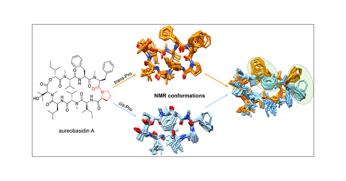 bruker's tweet card. Aureobasidin A (abA) is a natural depsipeptide that inhibits inositol phosphorylceramide (IPC) synthases with significant broad-spectrum antifungal activity. abA is known to have two distinct...