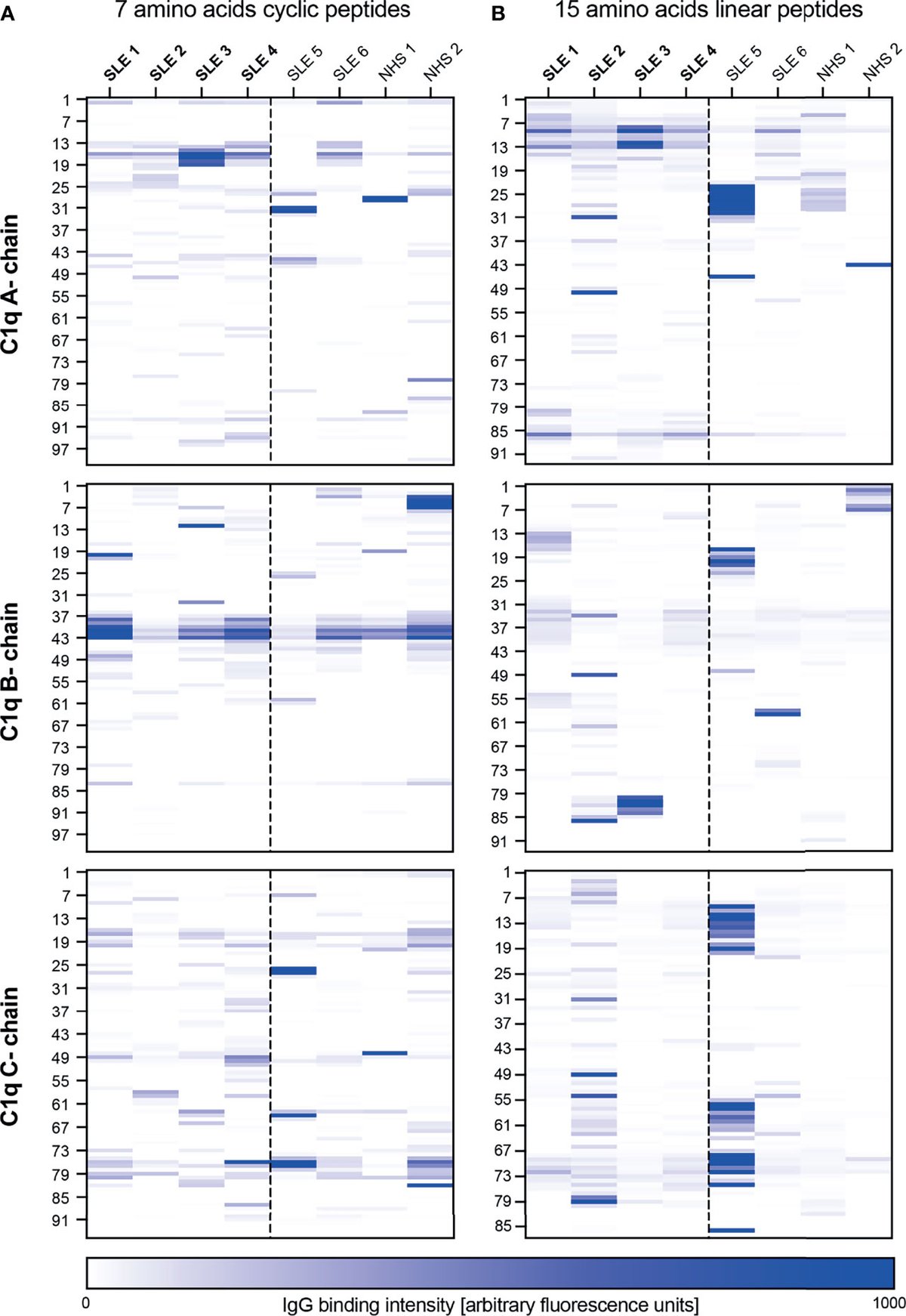 HMaricLab's tweet card. ObjectiveIn patients with systemic lupus erythematosus (SLE) complement C1q is frequently targeted by autoantibodies (anti-C1q), that correlate best with act...