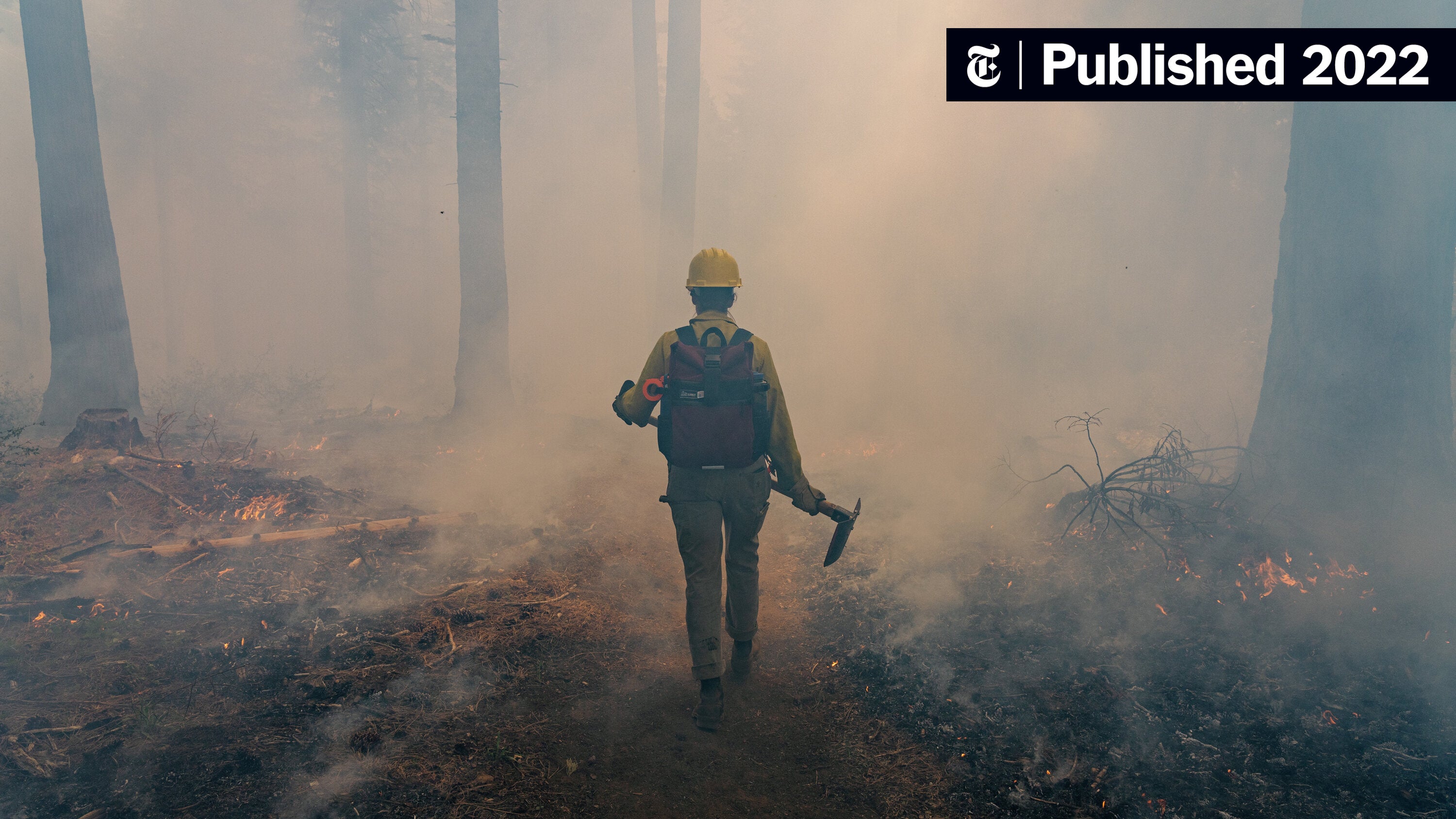 nytclimate's tweet card. Prescribed burns are key to reducing the risk of catastrophic wildfires. Scientists are using high-tech tools to ensure they can be done safely in a warming world.