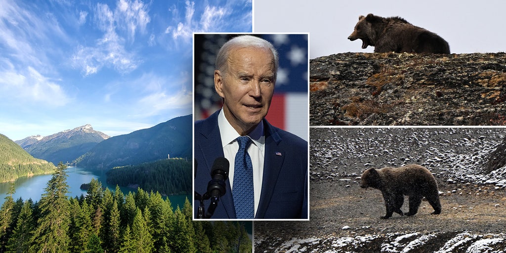 ABDoTheMath's tweet card. The Biden administration is moving ahead with a plan to reintroduce grizzly bears, a threatened apex predator species, near a rural community in northern Washington.