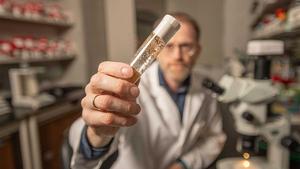 EurekAlert's tweet card. A new computational model simulating fruit fly wing development has enabled researchers to identify previously hidden mechanisms behind organ generation. Jeremiah Zartman, associate professor of...