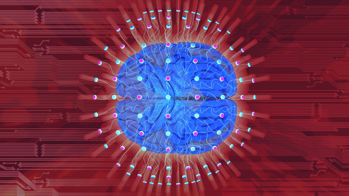 sciam's tweet card. Work on an “Internet of brains” takes another step