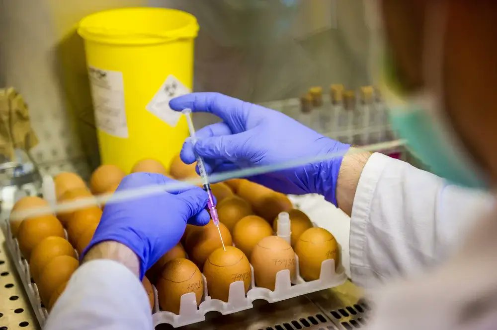 ModFarm's tweet card. The Food and Drug Administration has not performed its legally required number of food safety inspections each year since 2018, according to a new