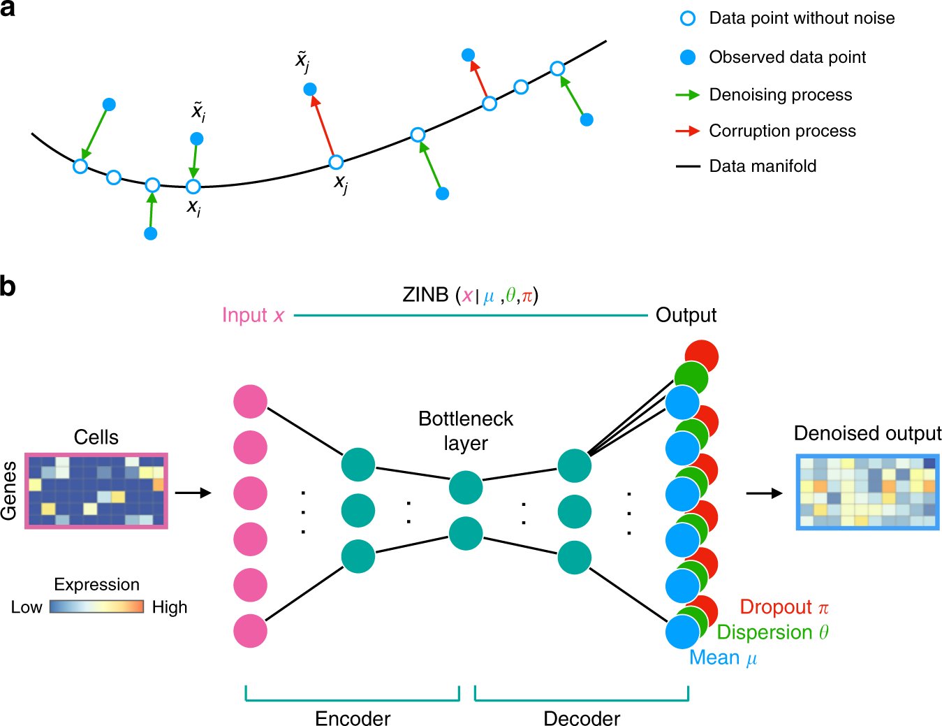 fabian_theis's tweet card. Nature Communications - Single-cell RNA sequencing is a powerful method to study gene expression, but noise in the data can obstruct analysis. Here the authors develop a denoising method based on a...