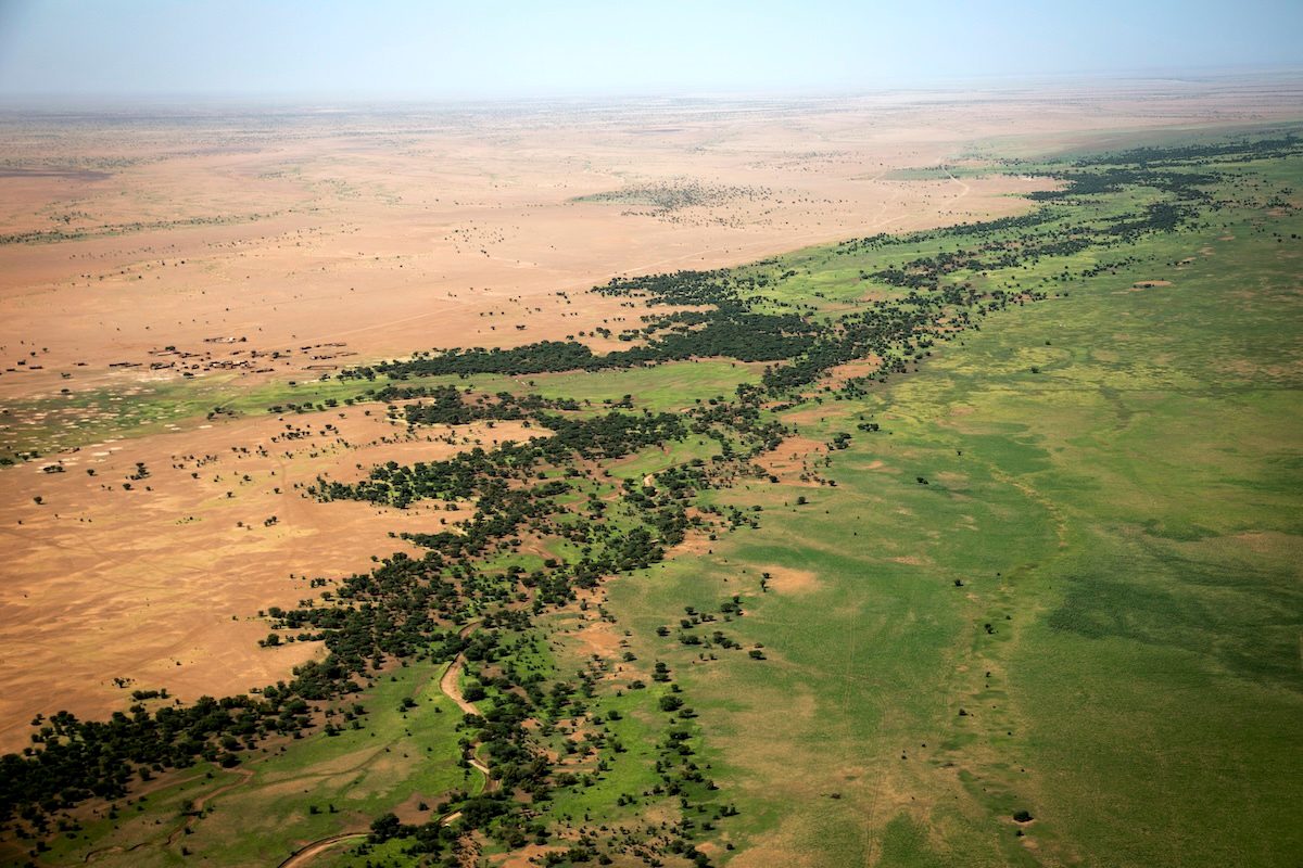 YaleE360's tweet card. Progress on Africa's 'Great Green Wall' Stalls as Seedlings Die Off