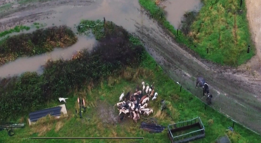 Channel4News's tweet card. Last year Channel 4 News reported on the Blackmore & Sparkford Vale Hunt, who were captured on drone cameras conducting what a court decided today was illegal hunting. Four men were found guilty of...