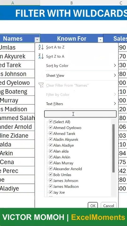 VicmoExcel's tweet card. Using Wildcards to Filter in Excel #shorts