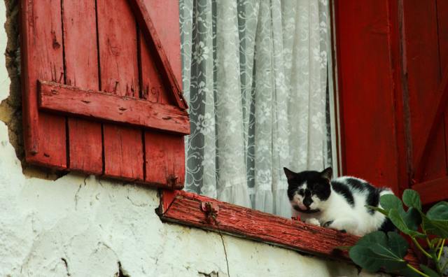 LiteraryRuby's tweet card. RUBY is a bi-annual literary magazine and press that publishes short-form food narratives that strive for voice, artistry, and character. We want work that grabs us and doesn’t let us go—fier…