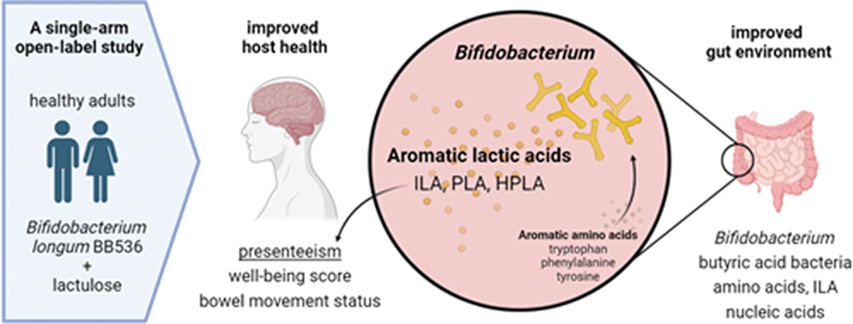 GutMicroRep's tweet card. Gut microbiota and their metabolites are crucial for metabolic regulation, immunomodulation, and brain and mental functions via the brain-gut axis. Synbiotics offer an effective strategy for improv...
