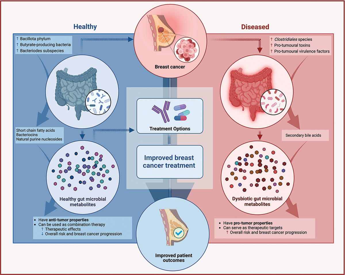 GutMicroRep's tweet card. In recent years, understanding the intricate connection between gut microbiome and cancer development has gained significant attention. The gut microbiome has a key role in maintaining overall huma...