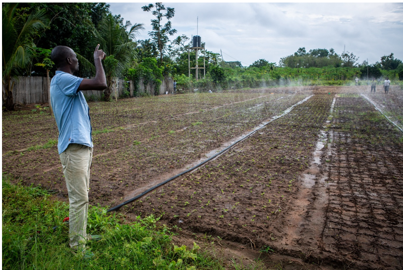 arps_media's tweet card. Explore how the African Development Bank Group empowers African nations to combat climate change with innovative financing, supporting resilience and low-carbon development as COP30 in Belém, Brazil,...
