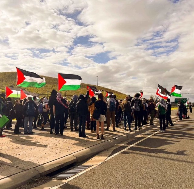 backlashblogs's tweet card. Reflections on labour unions, activism and the struggle to block ZIM shipping in Naarm. Photo from Angelita Biscotti Introduction Since Israel’s most recent military assault on Gaza began in O…