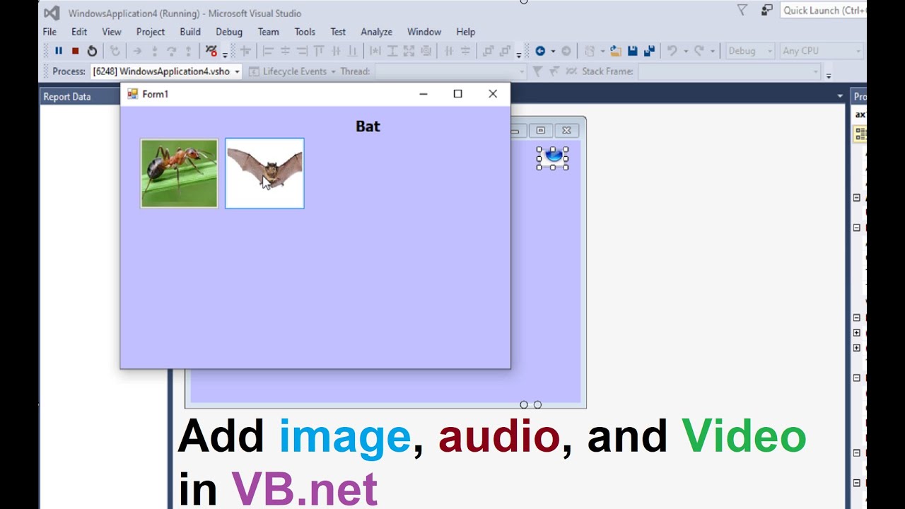 Progforeveryone's tweet card. How to add image, audio, and video in application desktop VB.net