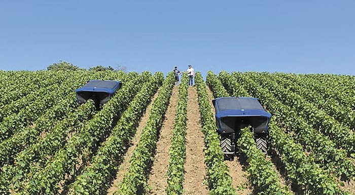 SCiO_systems's tweet card. Την ανάπτυξη μιας έξυπνης ρομποτικής πλατφόρμας, που θα μπορεί να κινηθεί αυτόνομα με σκοπό τον ψεκασμό αμπελιών ακόμα και σε αμπελώνες που καλλιεργούνται σε εδάφη με ιδιαιτερότητες, όπως εδάφη με...