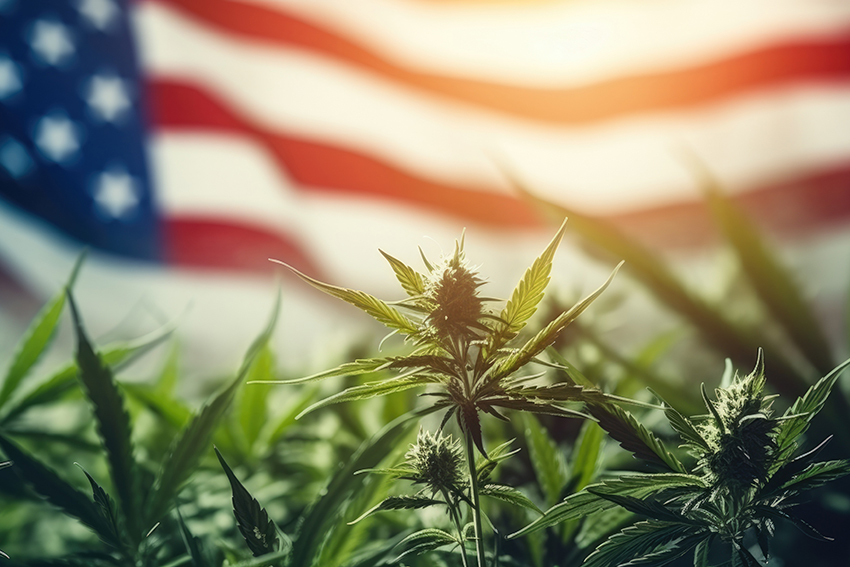 extractlabs's tweet card. Uncover the latest on Trump cannabis reforms, from rescheduling to banking access. Find out what businesses need to know for 2025.