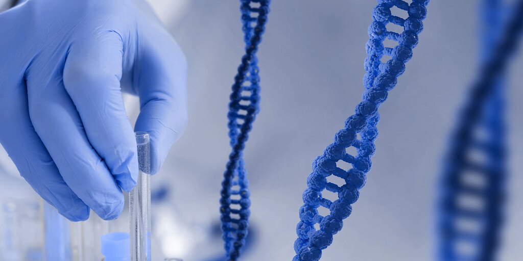 ValeriaRoman's tweet card. Investigadores de los Estados Unidos proponen un nuevo enfoque para tratar la afección. En el Día Mundial del trastorno Syngap1, cómo identificar las señales que más impactan a pacientes y cuidadores...