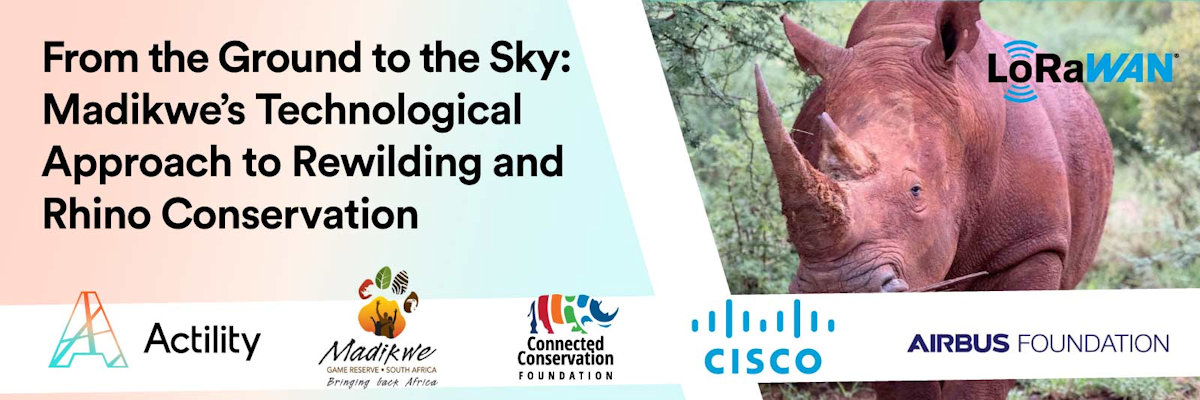 Arduino_Genuino's tweet card. Reserva de Madikwe, Sudáfrica: Satélites, LoRaWAN y cámaras térmicas para proteger a rinocerontes amenazados