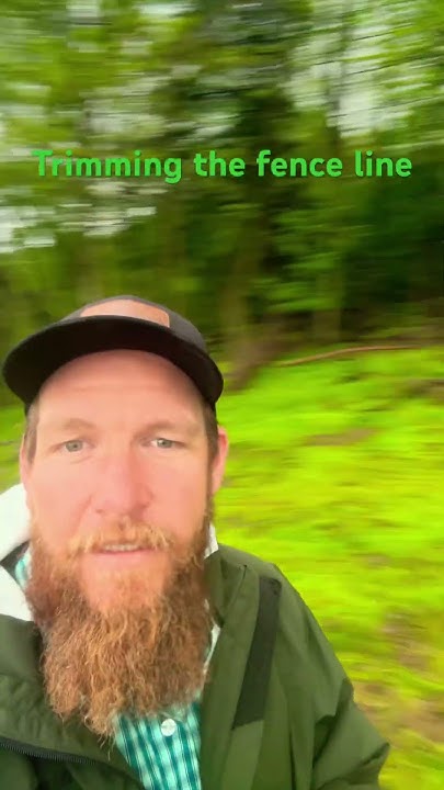 rickhays86's tweet card. Yard work! #FenceMaintenance #Sheep #BigHelp #Yardwork #LoveThis...