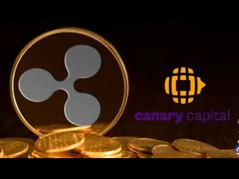 XRPlayerPlayer's tweet card. CANARY SPOT XRP ETF!!! ARE THURSDAYS NICE??? OR IS IT A FLUSH OUT???