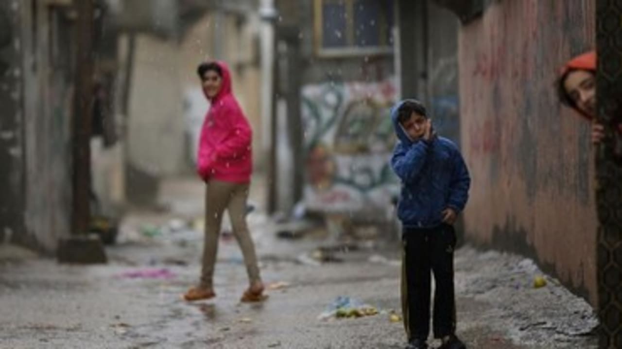 AJEECNISPED's tweet card. Arab children are three times more liable to die in falling accidents than their Jewish counterparts.