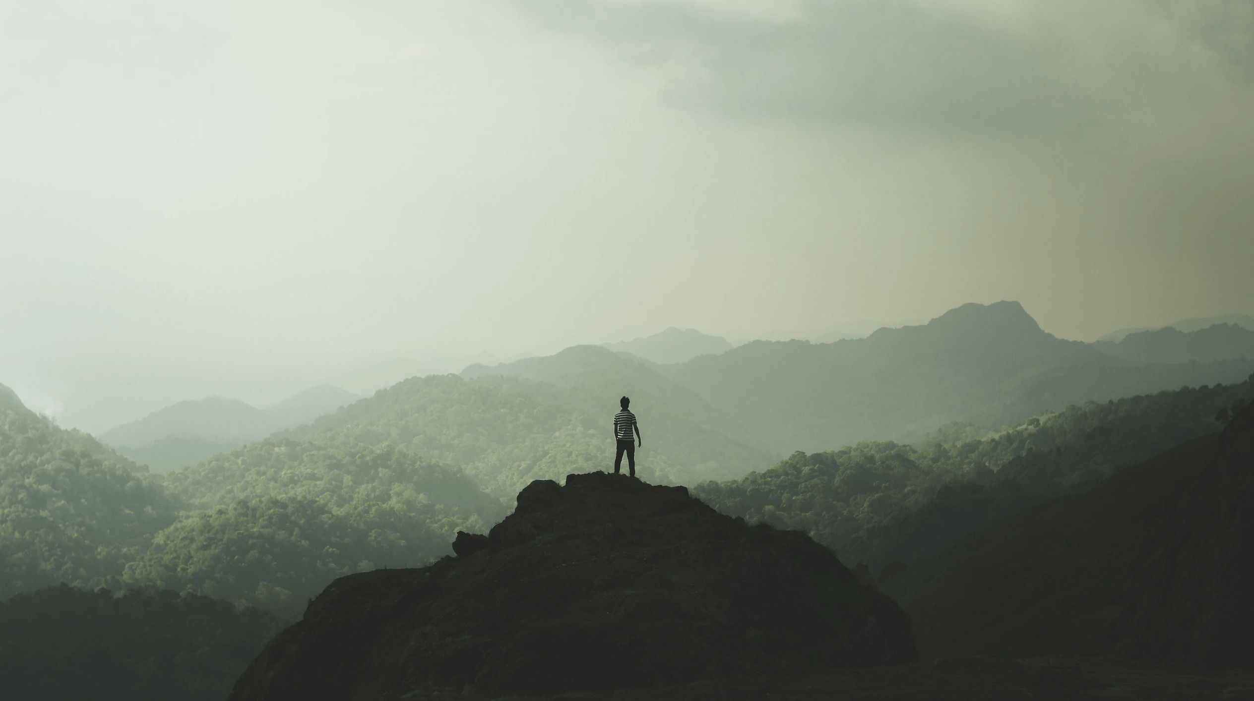 CBHCaddingvalue's tweet card. It’s time for chartered accountants to save the world.” This may seem like a bold and outlandish statement, however, is this really the case?