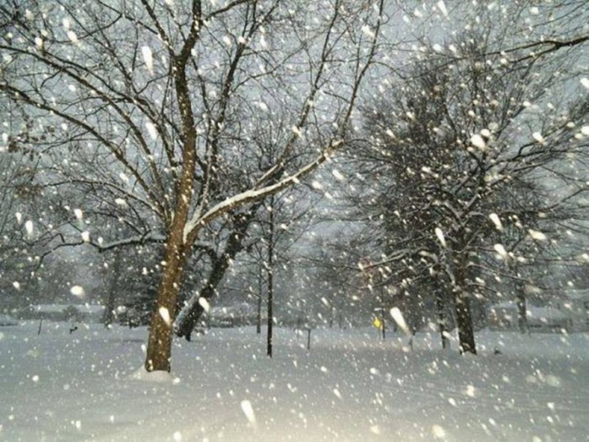 GeneratorDan's tweet card. New details have been released on two NJ snowstorms, one of which could produce prolonged power outages.