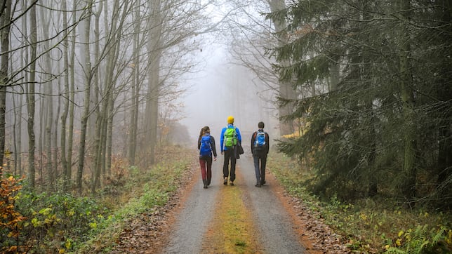 HumintDet's tweet card. El Tribunal Superior de Justicia de Castilla y León ha desestimado todas las pretensiones de la trabajadora.
