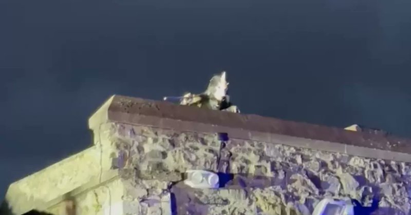 Tweet card summary image