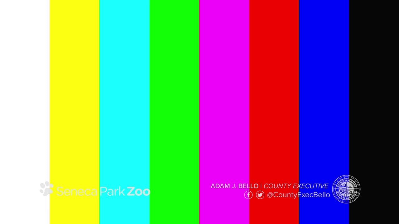 monroecounty_ny's tweet card. Seneca Park Zoo - Polar Bear Habitat