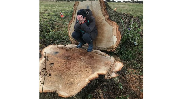 Tweet card summary image