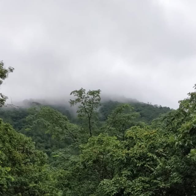 rajesh_rgr28's tweet card. Rajesh Raju (@rajesh.rgr) • Instagram photos and videos