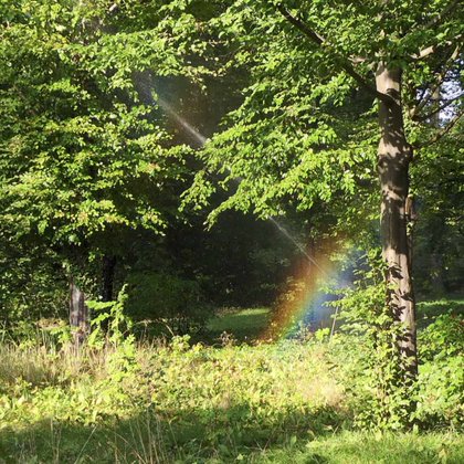 Tweet card summary image