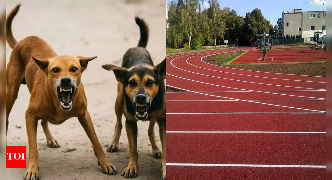 maheshspanicker's tweet card. More sports News: In a tragic incident, para-athlete Jogendra Chhatria and Hrusikesh Rana succumbed to rabies 19 days after being bitten by a stray dog in Balangir dist