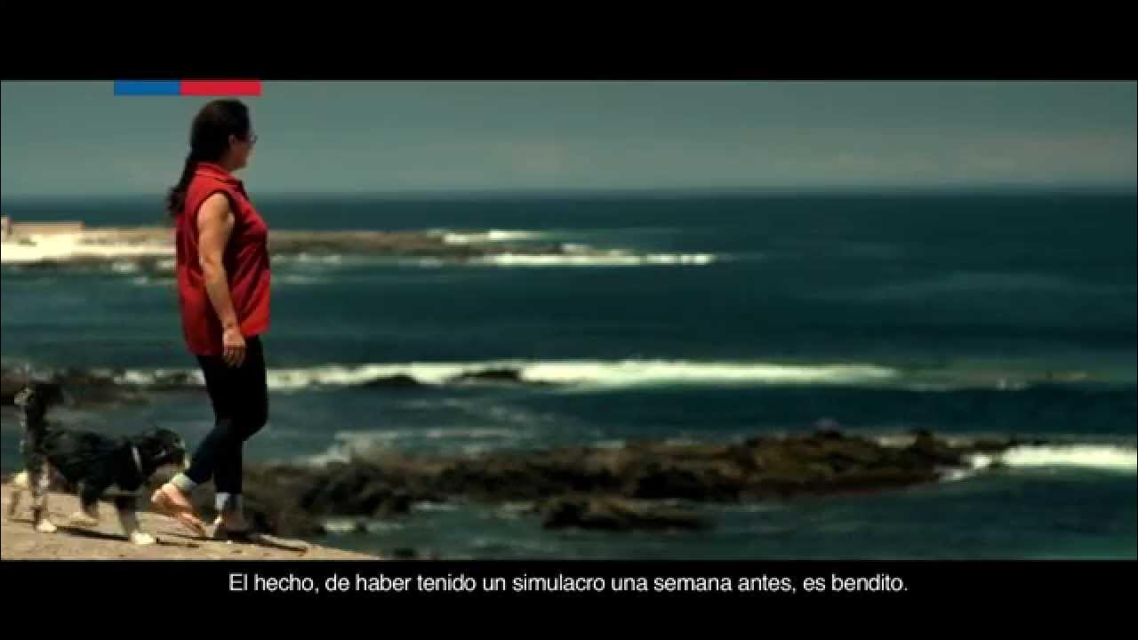 Senapred's tweet card. Cecilia Araya "Cálmate Piensa Actúa"