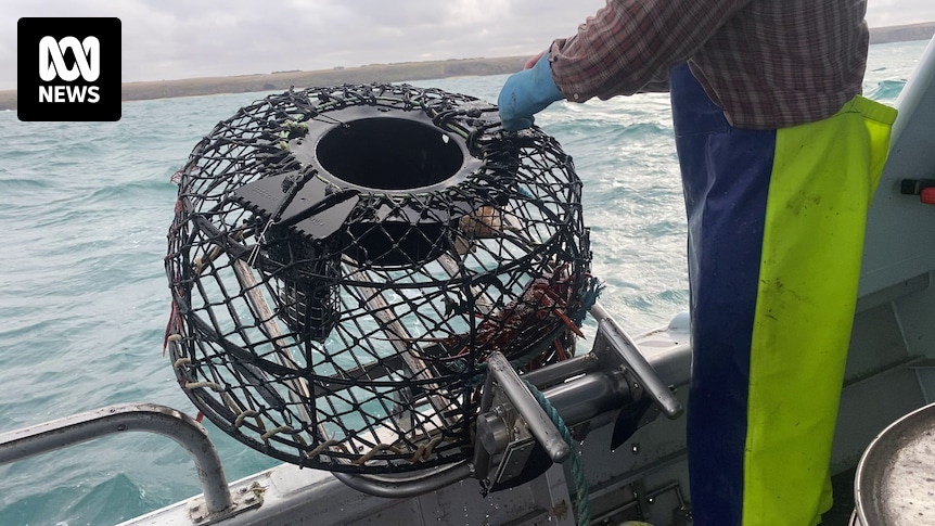 AgtechTutor's tweet card. When fisherman Gary Ryan discovered the "appalling" impact his industry was having on the environment, he knew he had to do something about it.