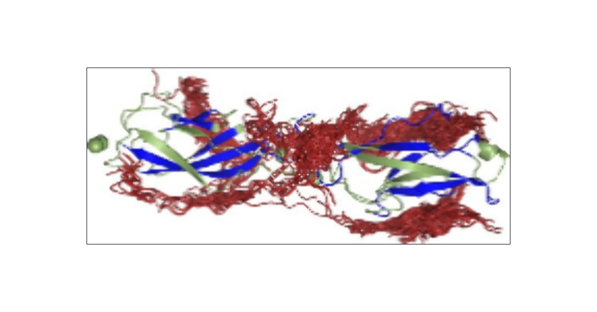 JCIM_JCTC's tweet card. E- and VE-cadherins are among proteins forming intercellular junctions that are a crucial component of cell–cell adhesion in the intercellular junctions of the biological barriers (i.e., blood–brain...
