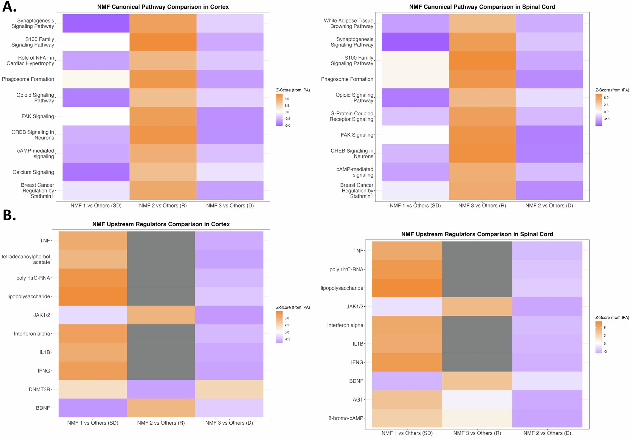 ejhg_journal's tweet card. European Journal of Human Genetics - Machine learning predicts distinct biotypes of amyotrophic lateral sclerosis