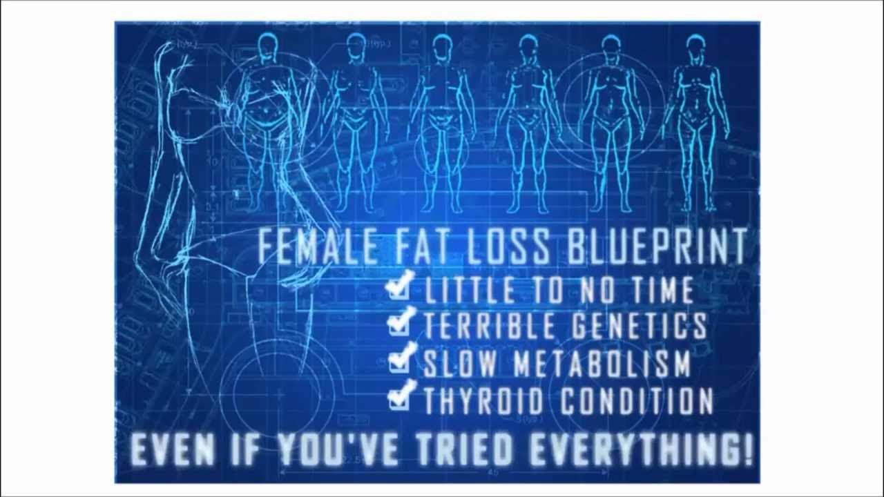 ElizabethAmily's tweet card. The Venus Factor ► What is Venus Factor ?